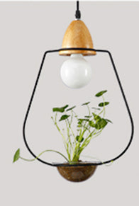 Metal frame with glass planter pendant light