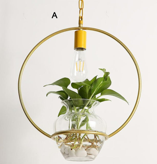 Metal and glass hanging light for living plants